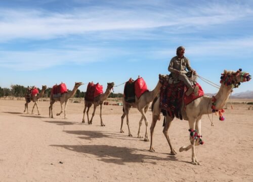 camel ride with sunset and star watching