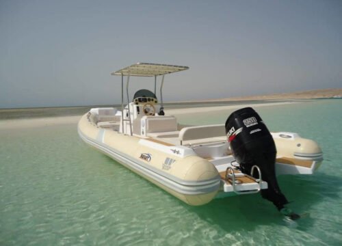 Private Speedboat to Dolphin House
