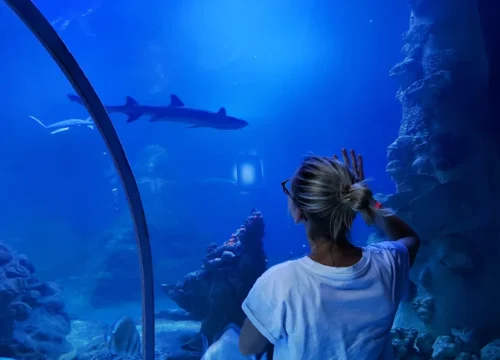 Grand Aquarium Hurghada