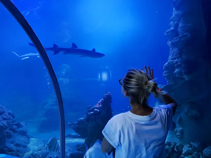 Grand Aquarium Hurghada